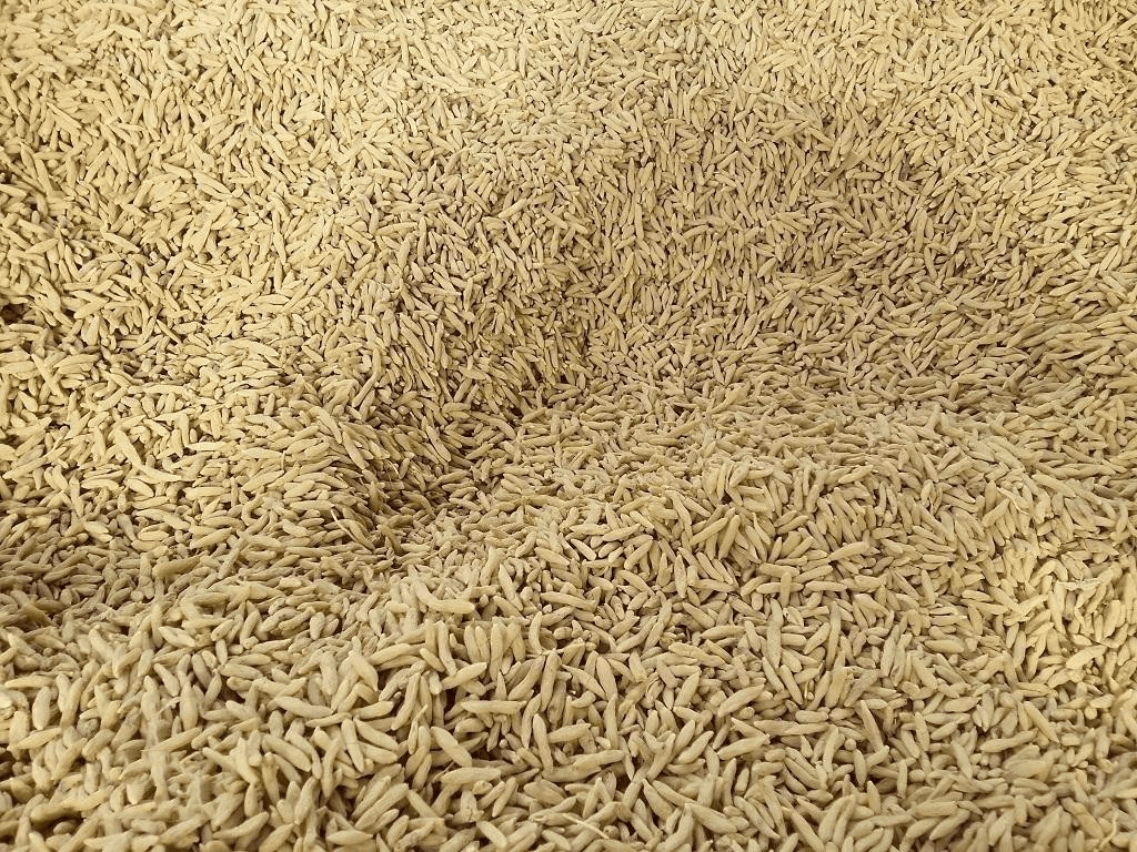 Mai Dong (Ophiopogon japonicus)